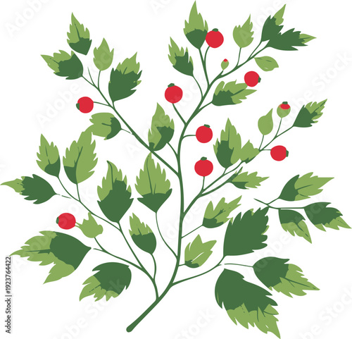 Minimalist natural floral vector sticker of berry branch with leaves, bold black thick clean outline, pure white background