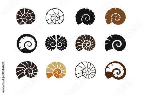 Paleontological tourism and fossil hunting. Icon set. Set Logo of Paleontological tourism and fossil hunting: ammonite fossil