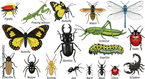 Insect Collection Vector Illustration Featuring Butterfly, Praying Mantis, Dragonfly, Beetle, Ant, Caterpillar, Scorpion, and Other Detailed Entomology Species