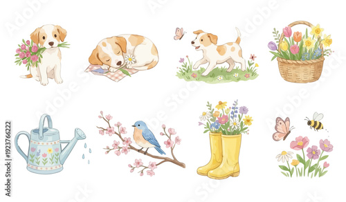 Cute watercolor puppy and floral garden elements: basket, blossoms, butterflies, bee. Collection of Vector illustrations. Perfect for invitation, card, poster, banner, decoration