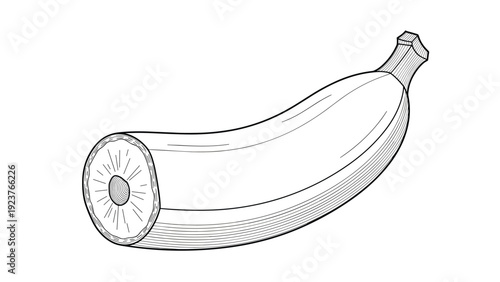 Line drawing of a banana cut in half to show its cross-section and stalk.
