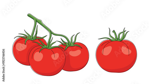 Illustration of a bunch of red tomatoes on the vine and one tomato isolated to the right.
