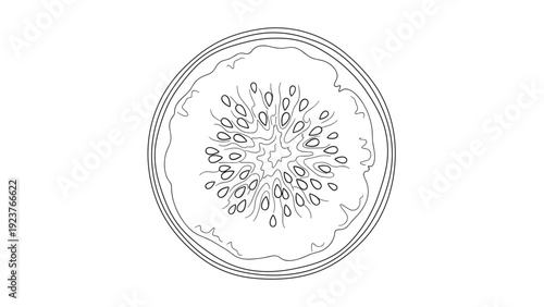 A black and white line drawing of a sliced passion fruit showing its seeds and juicy pulp.