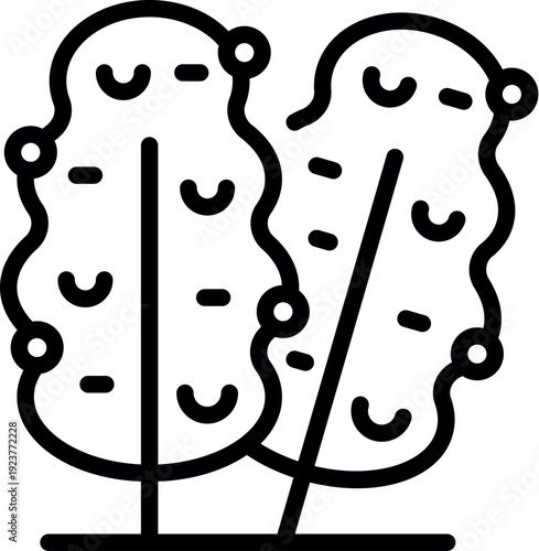 Topiary trees growing in a garden, representing gardening, landscaping, and outdoor decoration