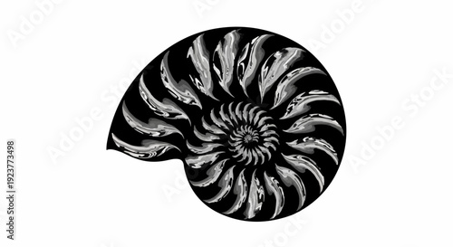 Intricate black and white spiral pattern of a nautilus shell interior