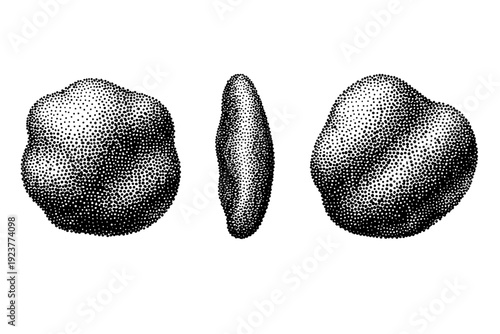Organic stippled dot overlay represented as one irregular dot-based texture object shown in three views: front view, side view, and three-quarter