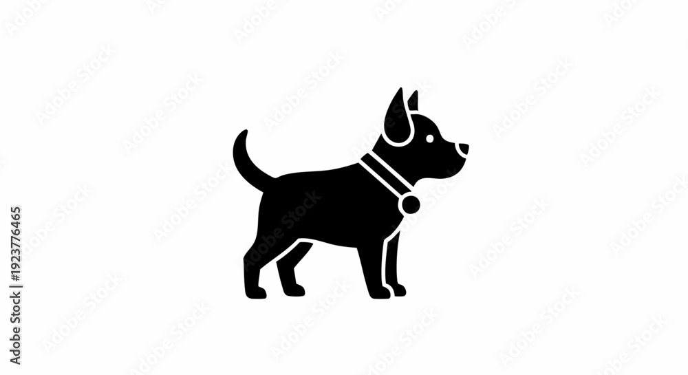 Fototapeta premium silhouette of a dog