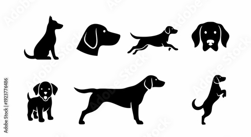 vector illustration of a dog