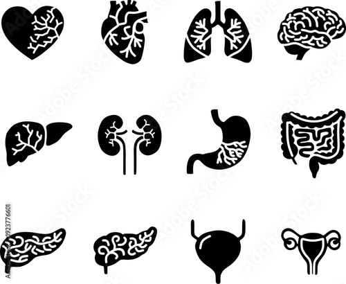 Human Internal Organs Icon Set for Medical UI Web Design, Minimalist Anatomy Vector Illustrations on Basic Black UI web design Button
