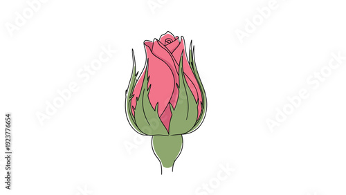 Single rose bud with a hint of pink color and detailed green sepals illustrated in a clean line art style on white.