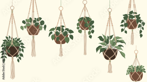 Collection of various green indoor plants hanging in macrame plant holders against a light cream-colored background for decor.