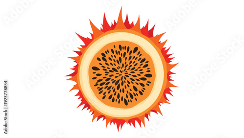 Cross-section of a horned melon or kiwano fruit showing the vibrant orange exterior with spikes and the internal seed structure.