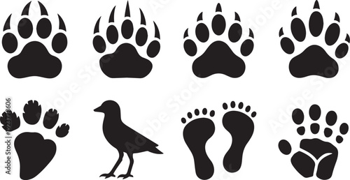 Collection of black animal paw prints and human footprints isolated on a white background for graphic design elements
