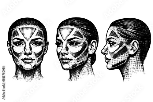 Makeup tutorial diagram contour mapping face diagram shown as a single object from three different angles: front view, three-quarter view,