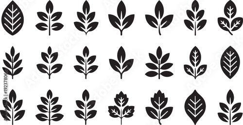 Collection of diverse black leaf icons representing nature and growth with intricate vein details on transparent background