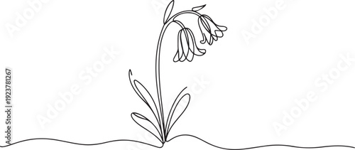 One single line drawing beauty fresh bulbous perennial plant for home decor wall art poster print. Printable decorative bluebell flower concept. one line Icon drawing