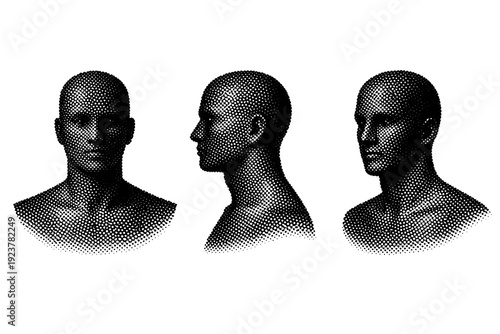 Halftone dot bust silhouette A bust-length human silhouette shown in front view, side view, and three-quarter view with balanced head and