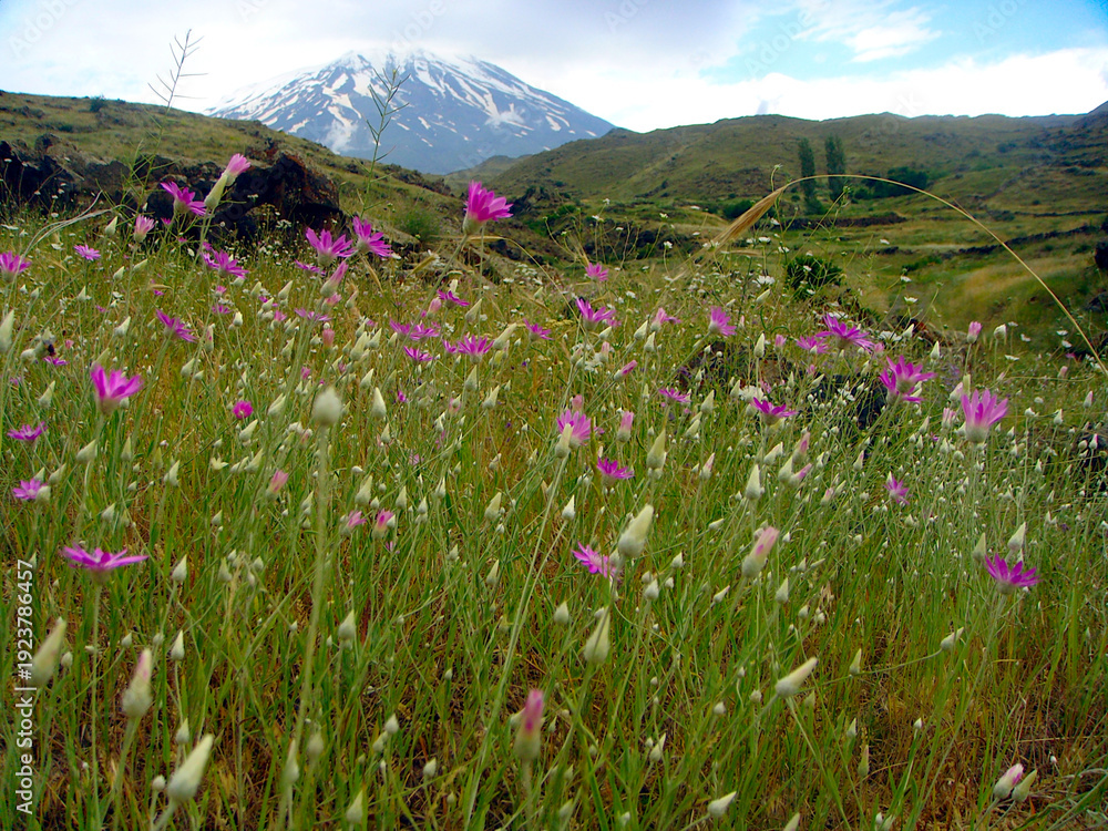 Obraz premium Hiking Adventure on Mount Ararat, Highest Peak in Turkey
