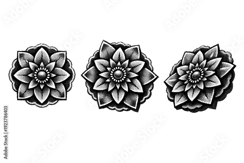 Halftone floral badge seal A floral badge seal with petal-based ornamentation shown in straight-on view, rotated view, and three-quarter view with balanced