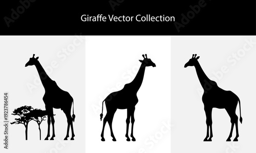 Giraffe Vector Collection Featuring African Safari Animal Silhouettes Standing Near Trees For Wildlife Conservation Branding Professional Zoo Identity Elements And Nature Education Graphic Design