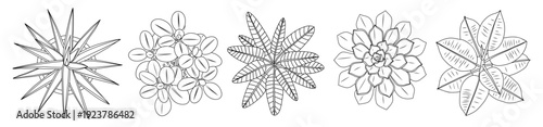 Top down view line art drawing set of individual house plants in minimalist black outline style, botanical details. Hand drawn vector illustration isolated on transparent background