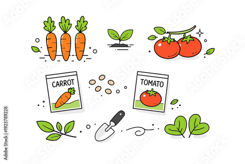 Vegetable garden elements. Simple carrots, tomatoes, leaves, and seed packets arranged as decorative vector objects. Natural, wholesome mood focused on growing