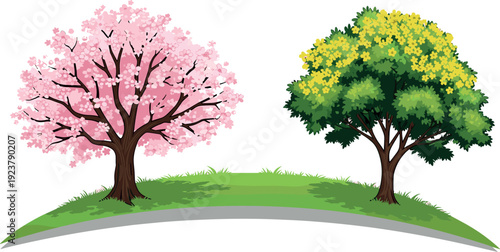 Blooming spring trees illustration with pink cherry blossom and yellow flowering tree, seasonal nature landscape concept, colorful vector garden scene isolated on white background
