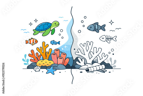 Marine conservation concept. A healthy colorful coral reef transitioning into a bleached section, shown in a clean split composition.