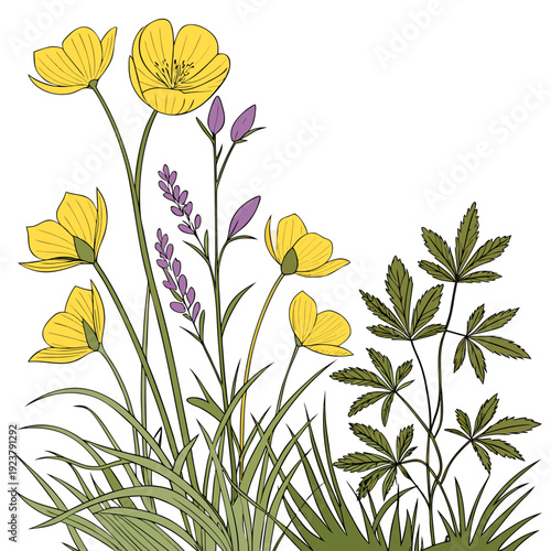 A group of yellow flowers and green plants