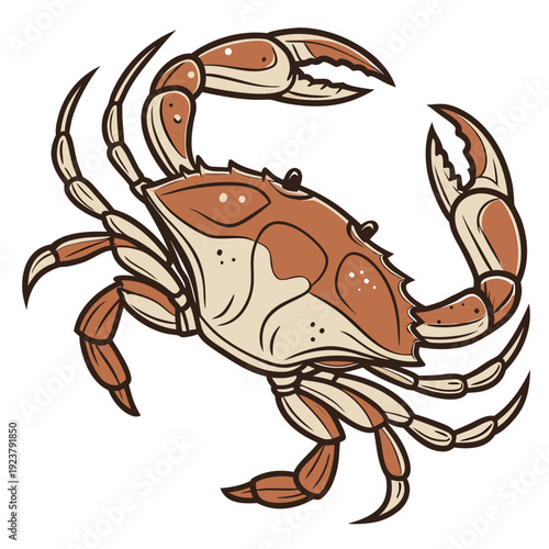 A cartoon crab with orange and beige shell