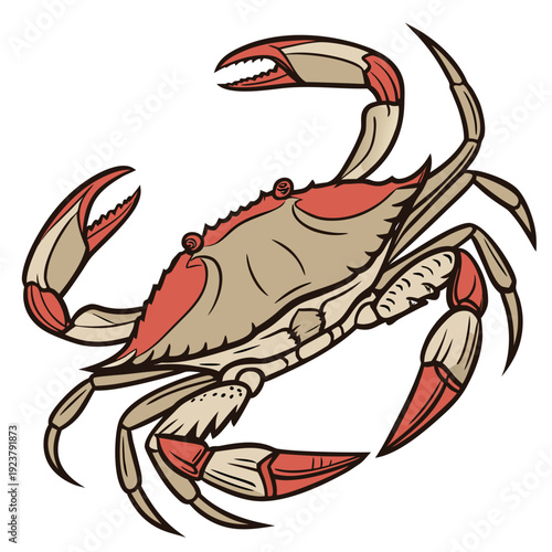 A cartoon crab with red and tan colors