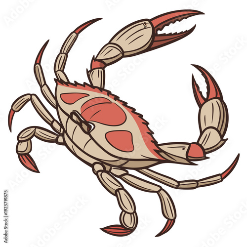 A crab with red spots on its shell and claws