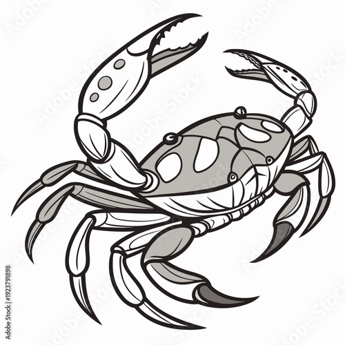 A black and white drawing of a crab
