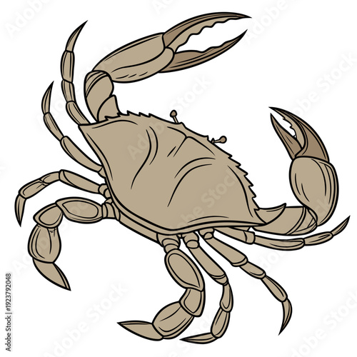 A brown crab is shown in a cartoon style