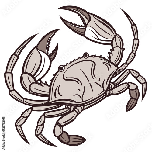 A brown crab on a white background