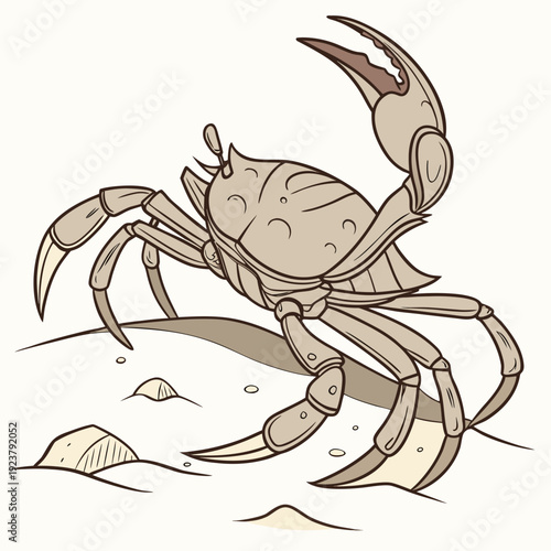 A crab standing on the sandy beach