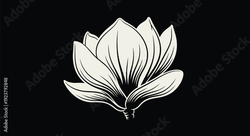 Magnolia Bloom Side View Monoline Outline on Black – Off-White Minimal Smooth Petals Vector Line Art