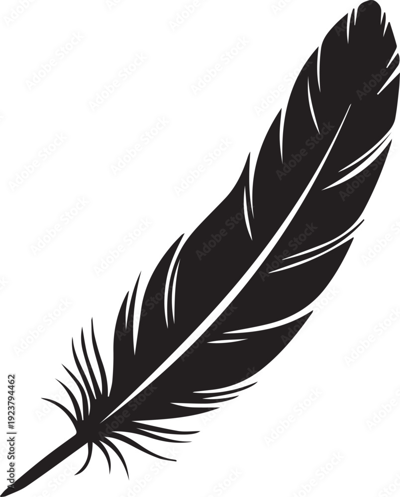 Obraz premium Single Curved Bird Feather Silhouettes with Fine Detail and Texture