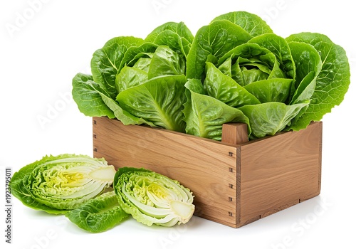 Fresh green lettuce leaves in wooden crate with cut heads