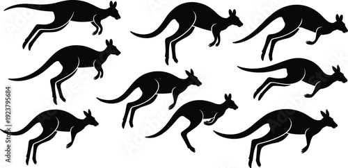 Set of black kangaroo silhouettes in various jumping poses, Australian wildlife vector illustration collection isolated on white background for nature, animal, and design concepts