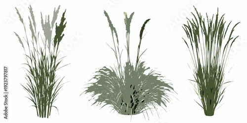 Stylized illustration of various green grasses and foliage arrangements