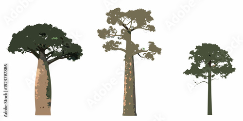 Illustration of three different trees with varying heights and foliage