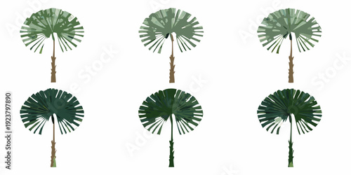 Six palmetto fan palm trees arranged in a grid pattern