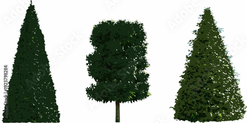 Three stylized evergreen trees isolated on a white background