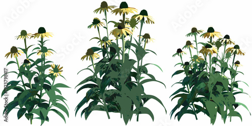 A vibrant illustration of several yellow coneflowers with green stems