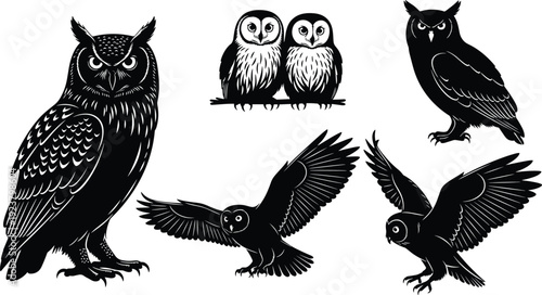 Set of owl bird silhouettes in different poses isolated on white background wildlife illustration collection for nature, nocturnal animals, tattoo, and graphic design concepts