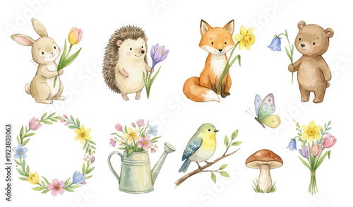 Spring watercolor illustrations. Wreath, watering can, bouquet butterfly, mushroom set. Collection of Vector illustrations. Perfect for invitation, card, poster, banner, decoration