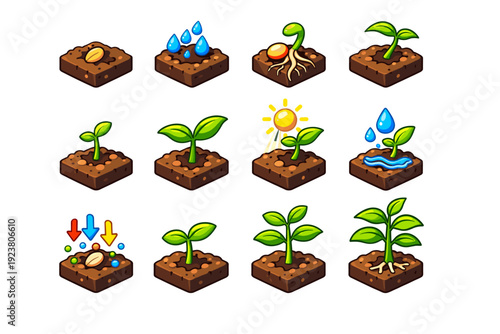 Plant growth from seed. Colorful isometric vector icons set of plant growth from seed: planted seed, moist soil, root development, shoot