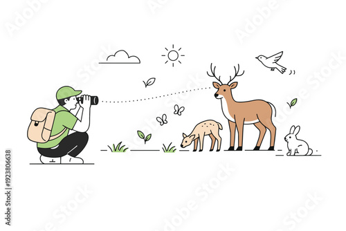 Wildlife observation. A person watching animals from a respectful distance with soft connection lines. Editorial scene expressing curiosity,