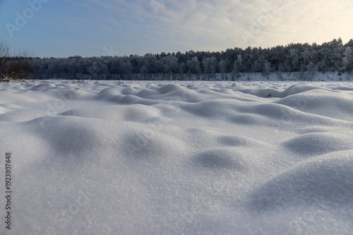 a big river with snowdrifts on the background of the sky and the forest in the winter , beautiful white deep uneven snowdrifts in the cold season on the river near the forest